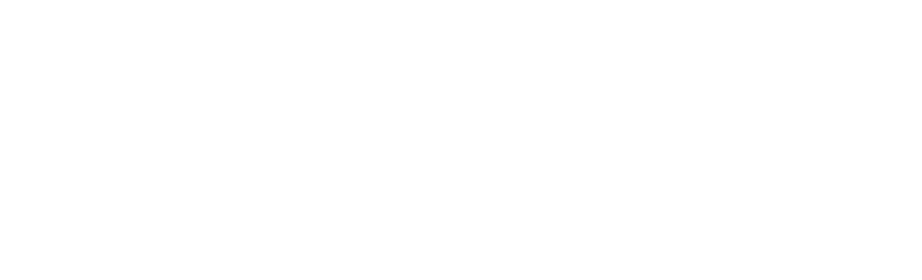 LavION Wellness